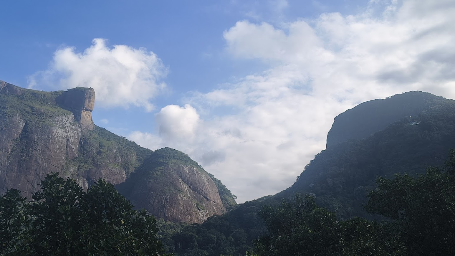 Mirante na Floresta da Tijuca