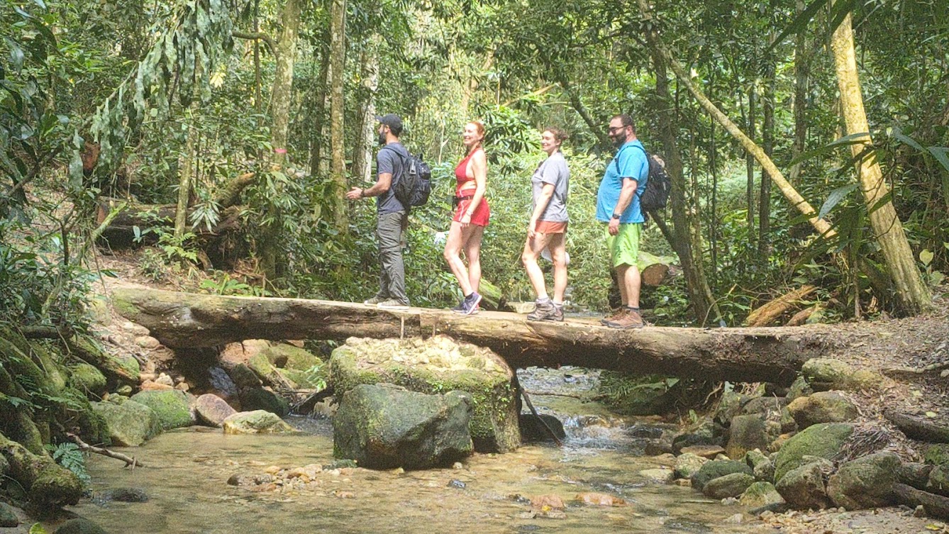 Caminho na Floresta da Tijuca